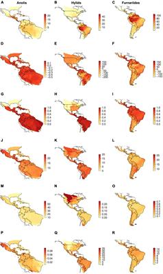 Mapping species diversification metrics in macroecology: Prospects and challenges